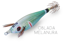 Wounded Fish Bukva 2.0 Kalamar Zokası Oblada Melanura